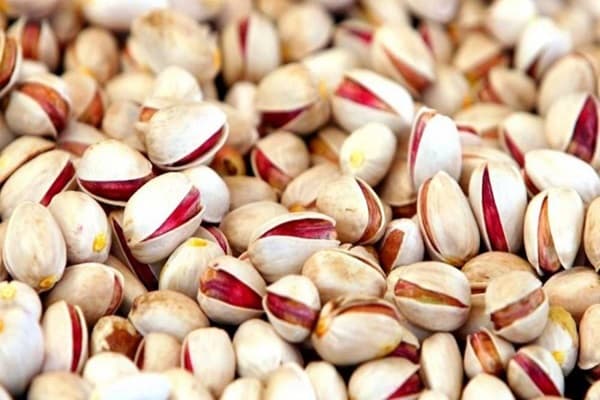 تصویر 3 از خرید و قیمت پسته + فروش عمده